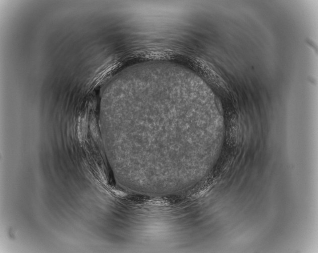 X0000097820696200804111016