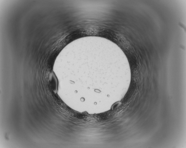 X0000097820697200804111016