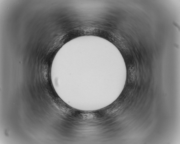 X0000097820698200804111016