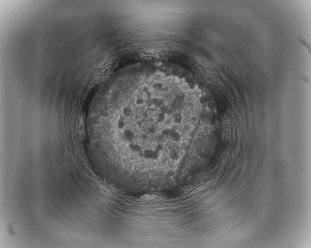 X0000097820699200804111016