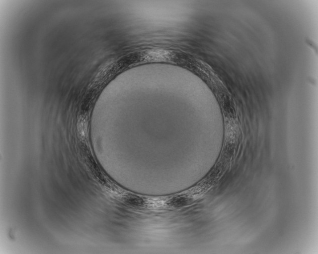 X0000097820701200804111016