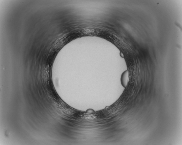 X0000097820702200804111016