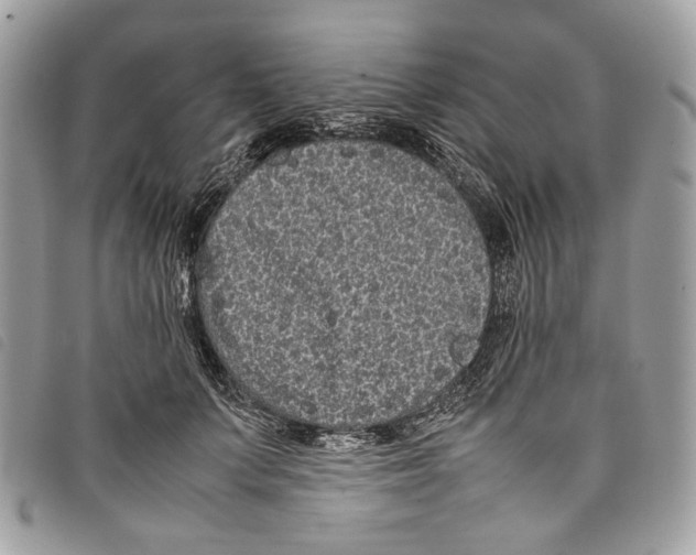 X0000097820703200804111016