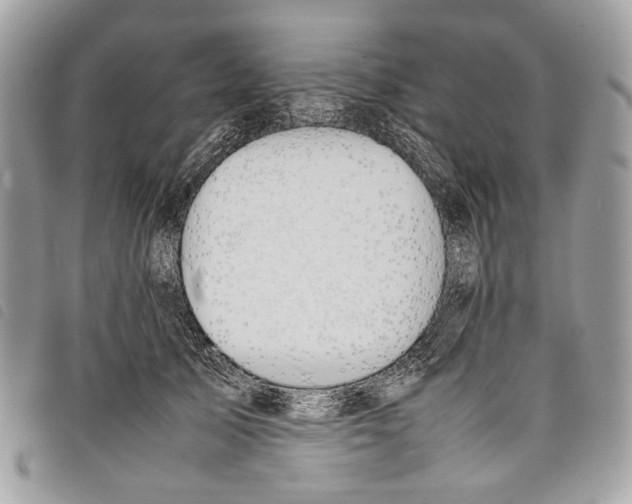 X0000097820705200804111015