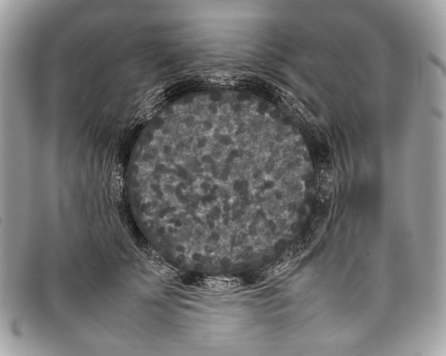 X0000097820707200804111015