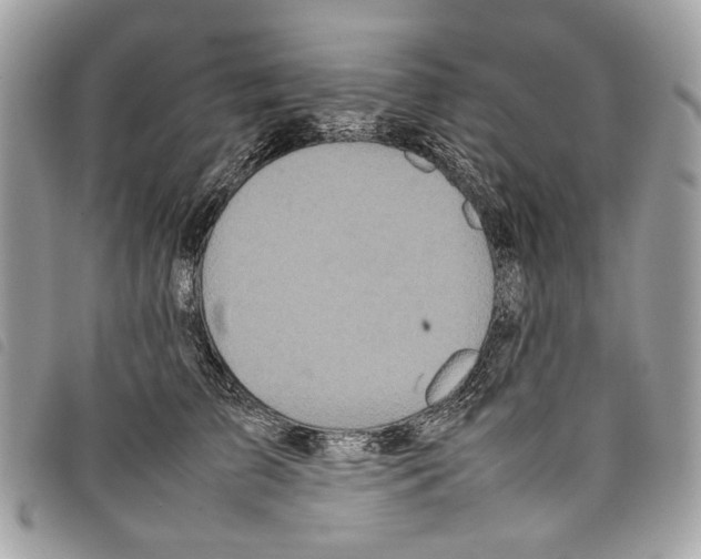 X0000097820709200804111015