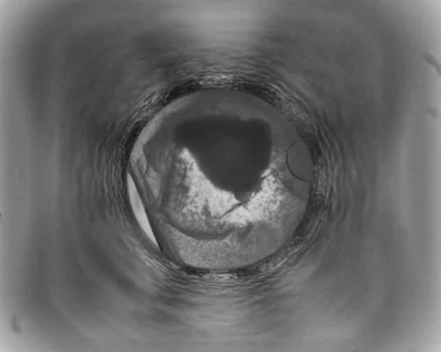 X0000097820711200804111015