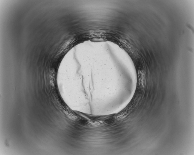 X0000097820712200804111015