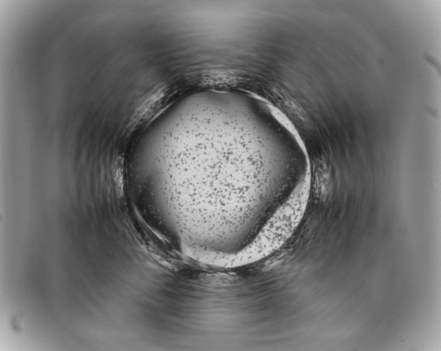 X0000097820716200804111015