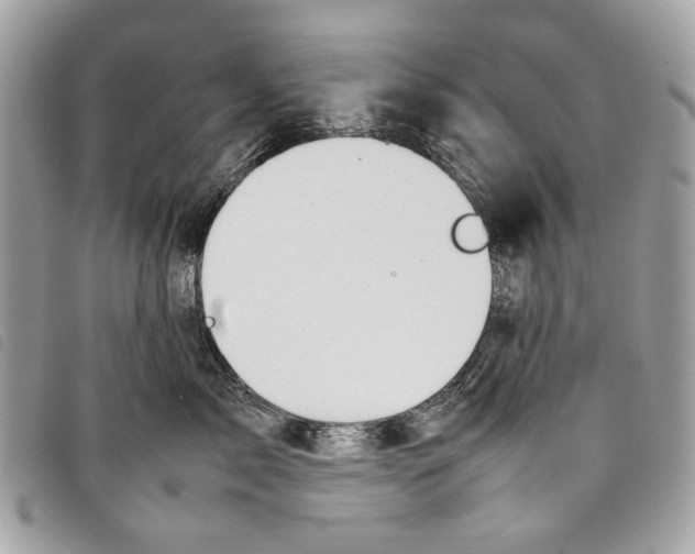 X0000097820717200804111015