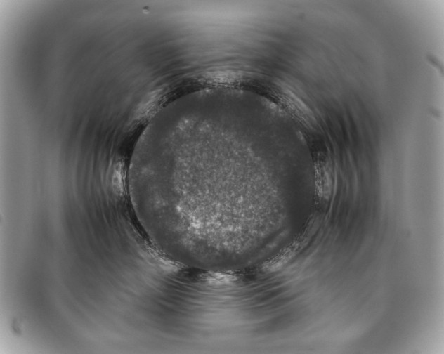 X0000097820718200804111015