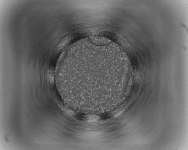 X0000097820719200804111015