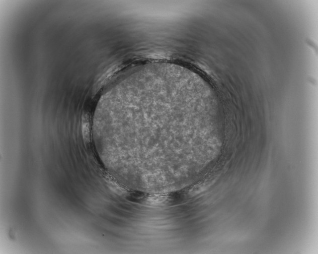 X0000097820720200804111015