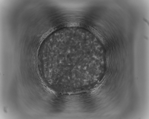 X0000097820721200804111015