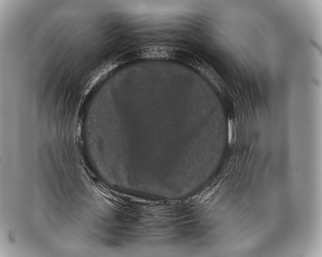 X0000097820723200804111015