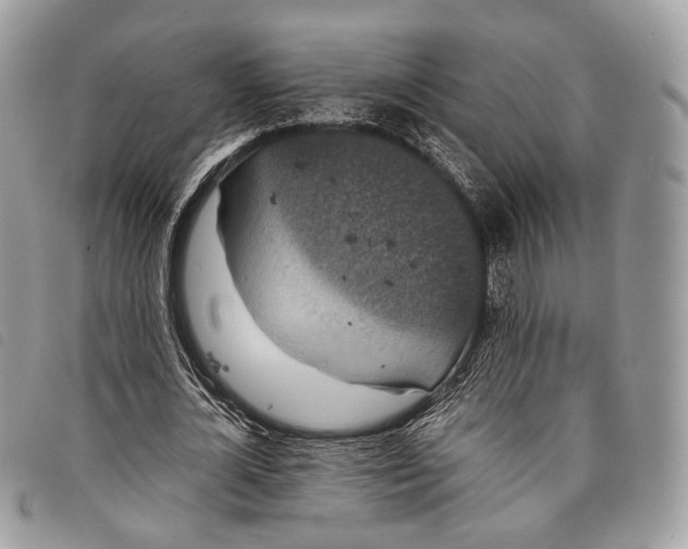 X0000097820724200804111015