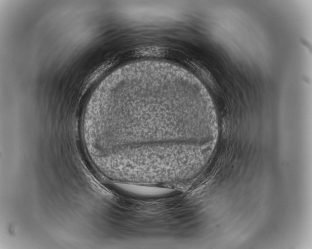 X0000097820725200804111015