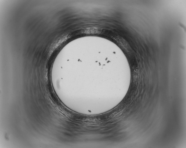 X0000097820727200804111015