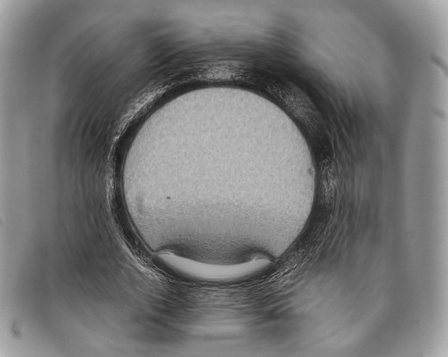 X0000097820728200804111015