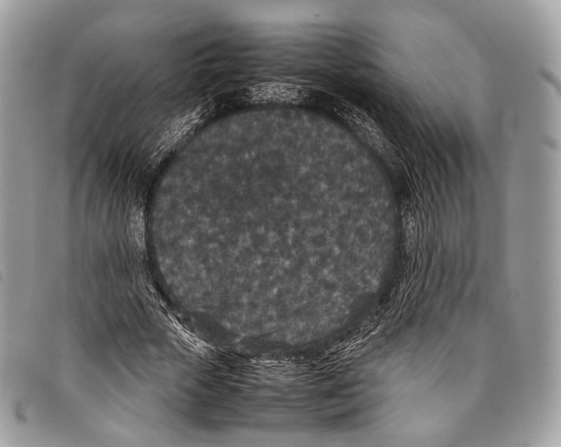 X0000097820729200804111015