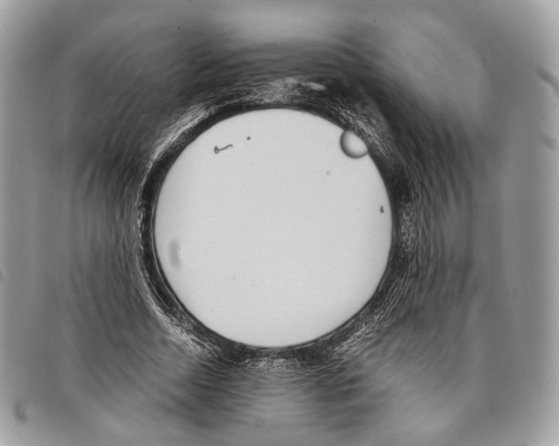 X0000097820730200804111015