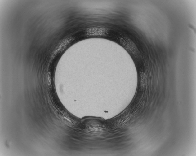 X0000097820731200804111015