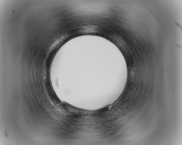 X0000097820732200804111015