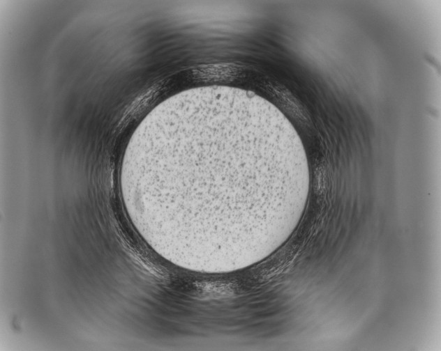 X0000097820733200804111015