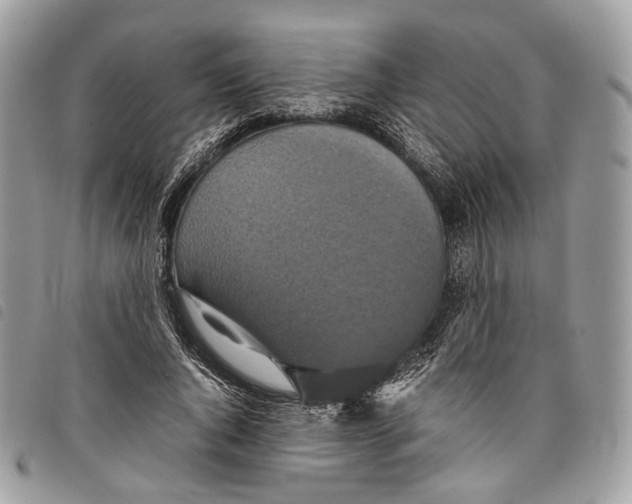 X0000097820736200804111015