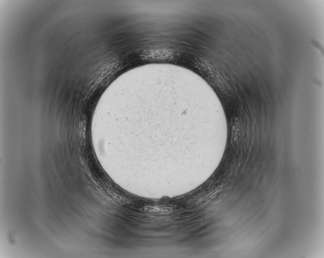 X0000097820739200804111015