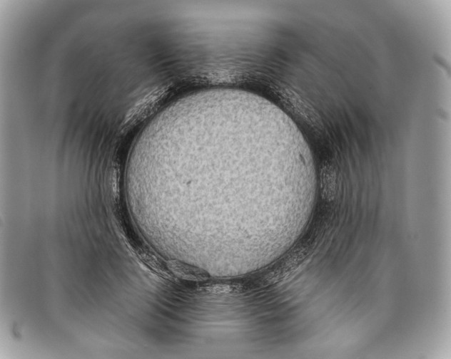 X0000097820740200804111015