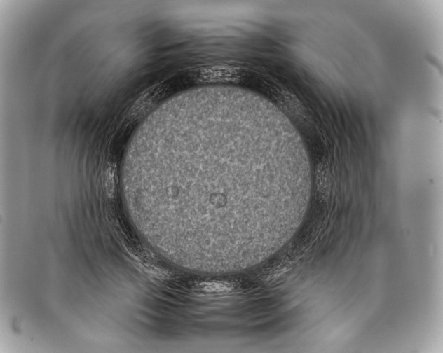 X0000097820741200804111015