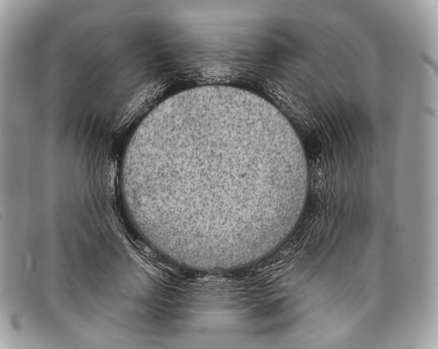 X0000097820742200804111015