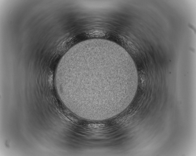 X0000097820745200804111015