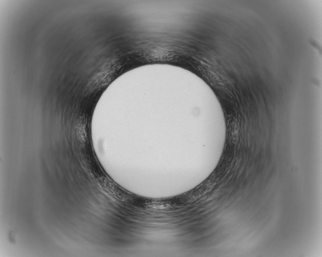 X0000097820746200804111015