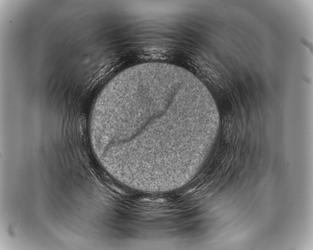 X0000097820747200804111015