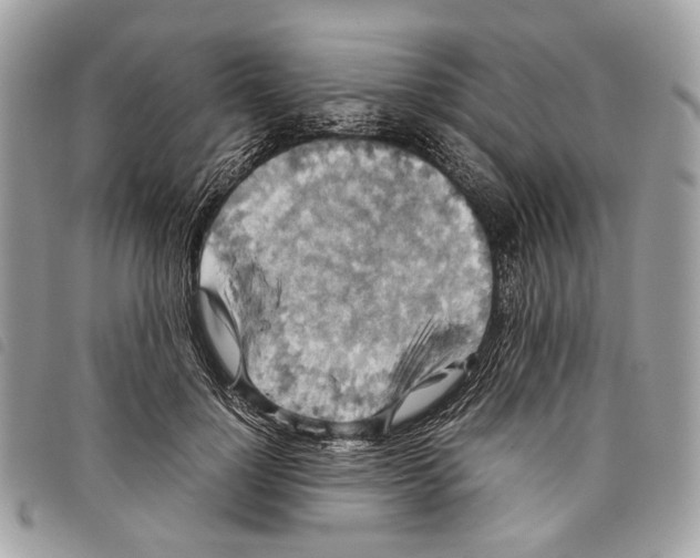 X0000097820748200804111015