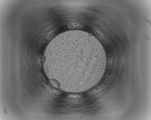 X0000097820749200804111015