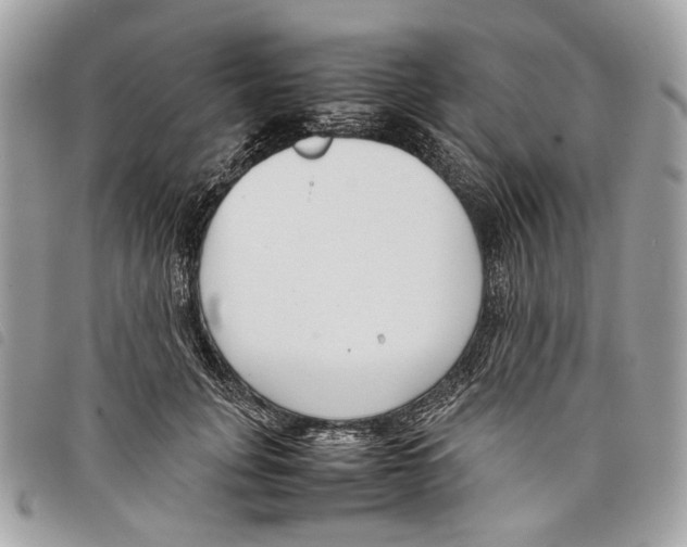 X0000097820751200804111015