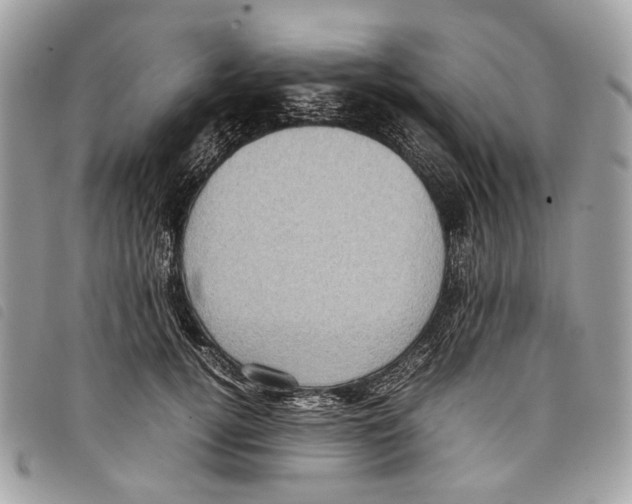 X0000097820752200804111015