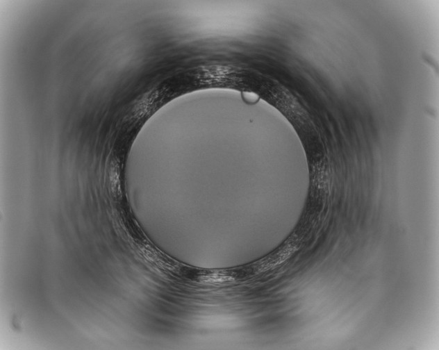 X0000097820754200804111015