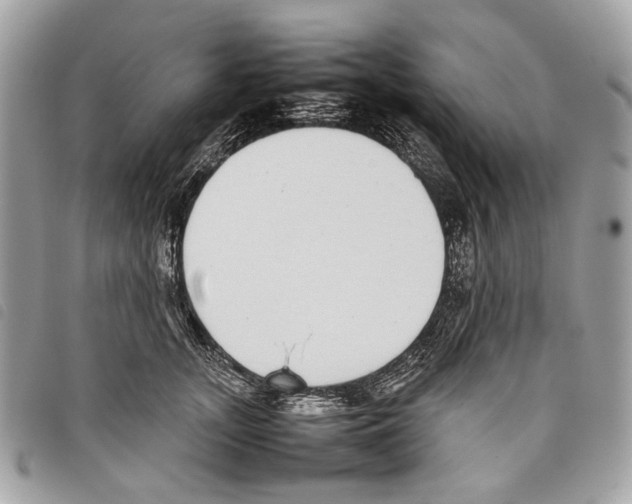 X0000097820755200804111015