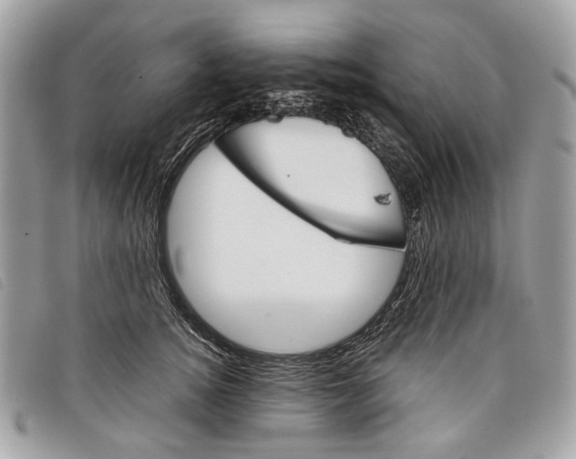 X0000097820756200804111015