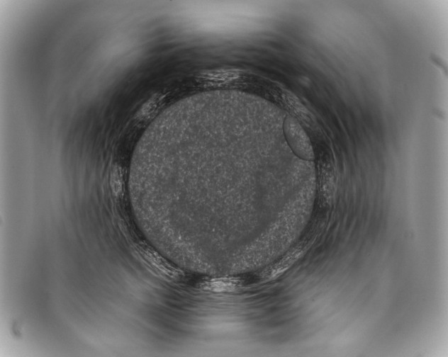 X0000097820758200804111015