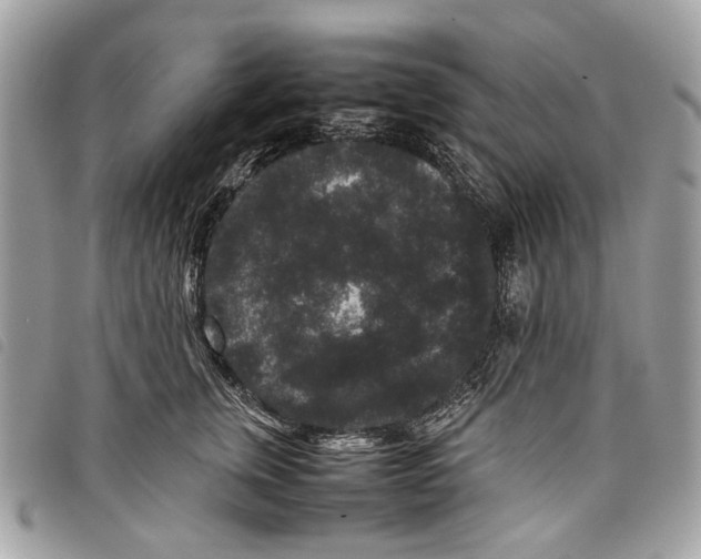 X0000097820759200804111015