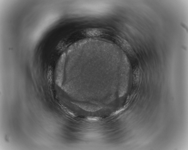 X0000097820762200804111015