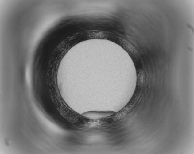 X0000097820764200804111015