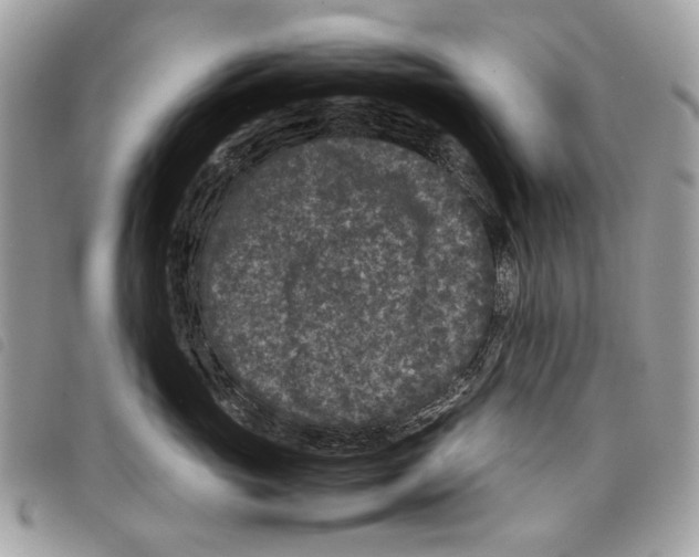 X0000097820765200804111015