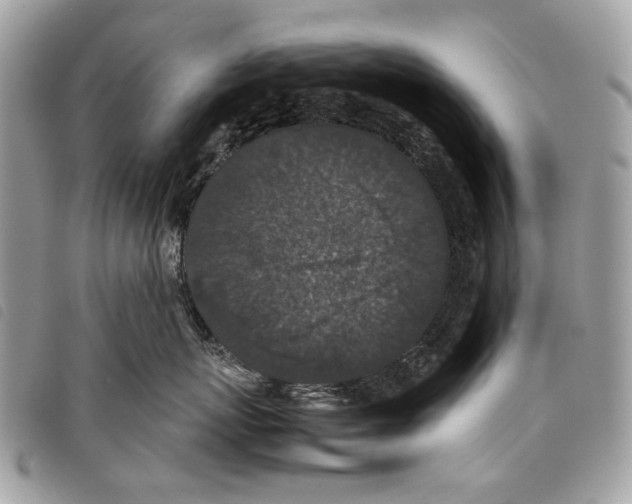 X0000097820767200804111015