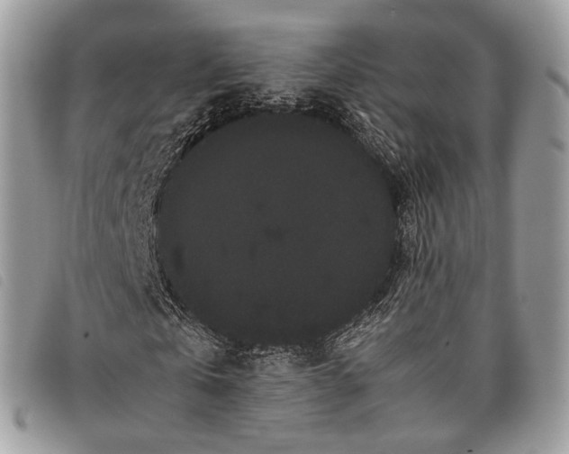 X0000097820769200804111015